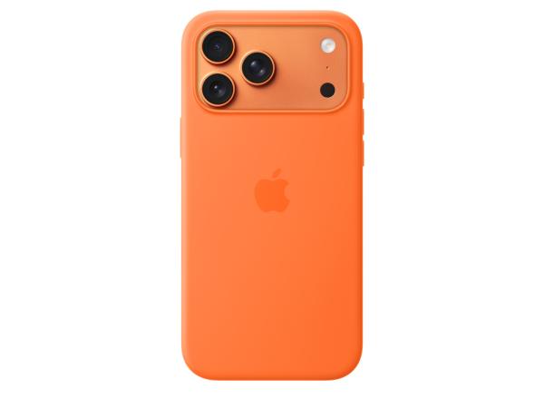 iPhone 17 Pro Max Silicone Case